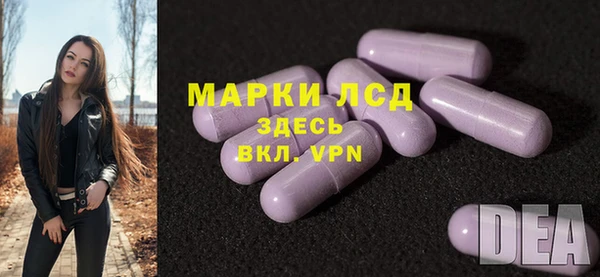 твердый Арсеньев