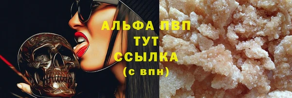 твердый Арсеньев