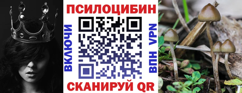blacksprut ССЫЛКА  Дзержинск  Галлюциногенные грибы ЛСД 