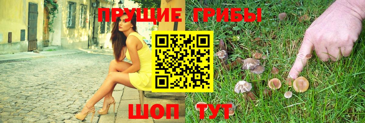 Галлюциногенные грибы ЛСД  Вход с VPN  где купить наркоту  Дзержинск 